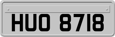 HUO8718