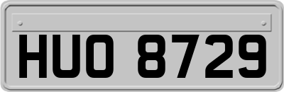 HUO8729