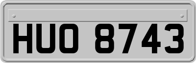 HUO8743