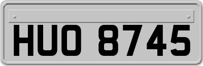 HUO8745