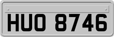 HUO8746