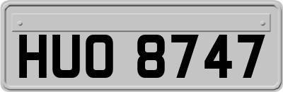 HUO8747