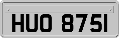 HUO8751