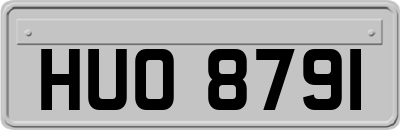 HUO8791