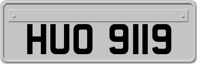 HUO9119