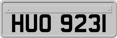 HUO9231