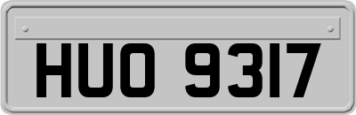 HUO9317