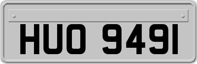 HUO9491