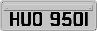 HUO9501