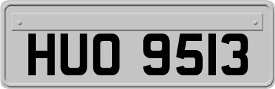 HUO9513