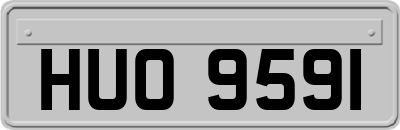 HUO9591