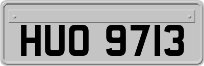 HUO9713