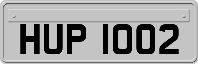 HUP1002