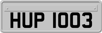HUP1003