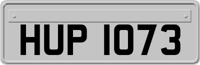 HUP1073