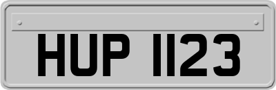 HUP1123