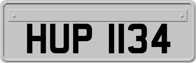 HUP1134
