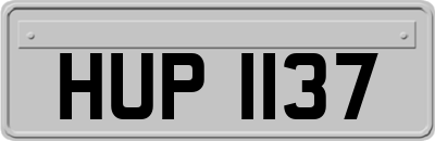 HUP1137