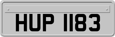 HUP1183