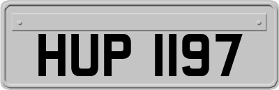 HUP1197