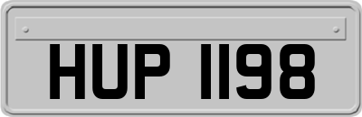 HUP1198