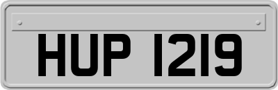 HUP1219