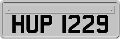 HUP1229