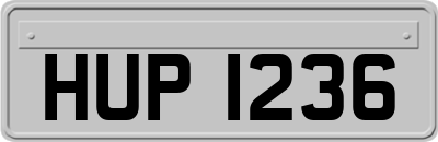 HUP1236