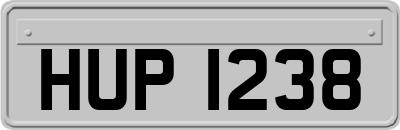 HUP1238