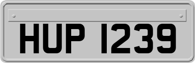 HUP1239