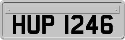 HUP1246