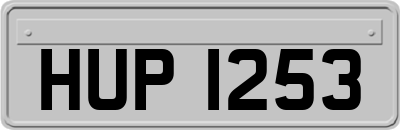 HUP1253