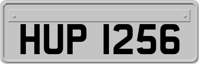 HUP1256