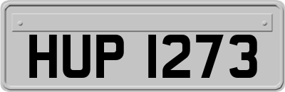 HUP1273