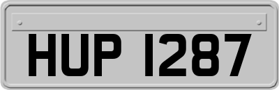 HUP1287