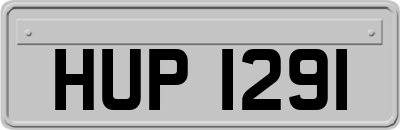 HUP1291