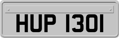 HUP1301