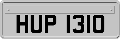 HUP1310