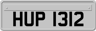 HUP1312