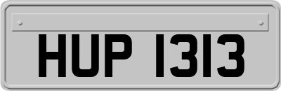 HUP1313