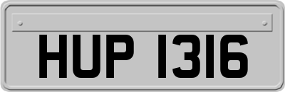 HUP1316