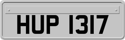 HUP1317