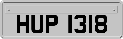 HUP1318