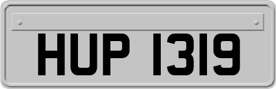 HUP1319