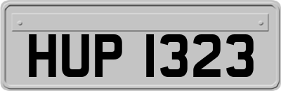 HUP1323