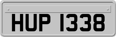 HUP1338