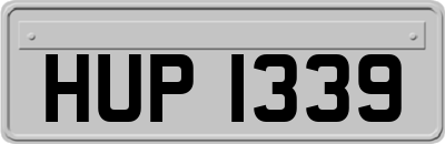 HUP1339