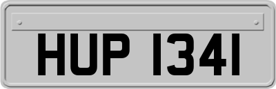 HUP1341