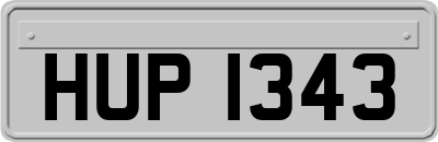 HUP1343