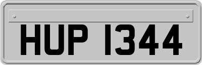 HUP1344